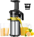 Oryfwj Sapcentrifuge 200 W 40 RPM Rvs Vijzel Juicer Groente-en Compacte Koude, Slow Masticating Juicer Machine