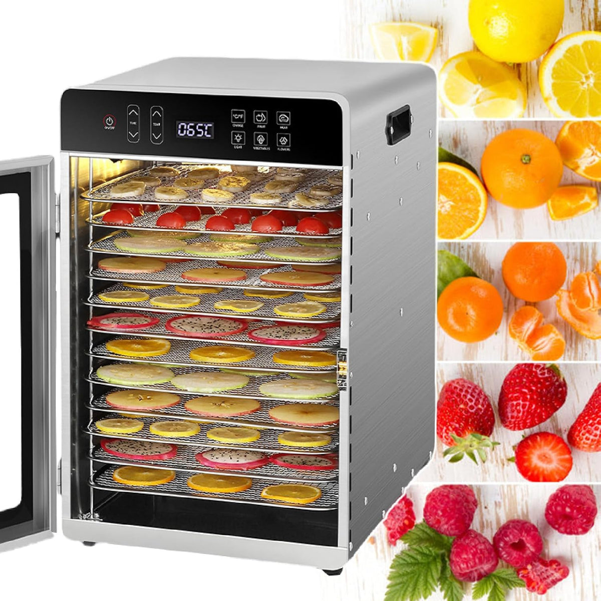 Xeeaofe Voedseldroger Fruit Groenten, 800W Elektrische Droger, 12 Roosters, Jerky 110V, met Instelbare Timer & Temperatuurregeling, voor Thuisgebruik
